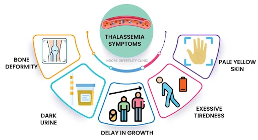 Thalassemia screening test in Kolkata