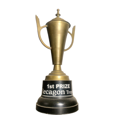 Professional recognition award