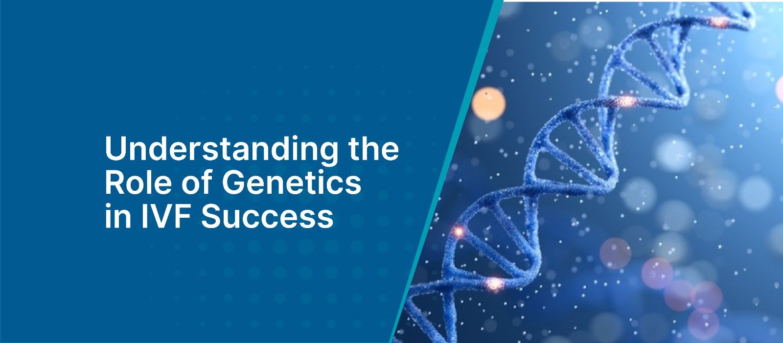 Understanding the Role of Genetics in IVF Success