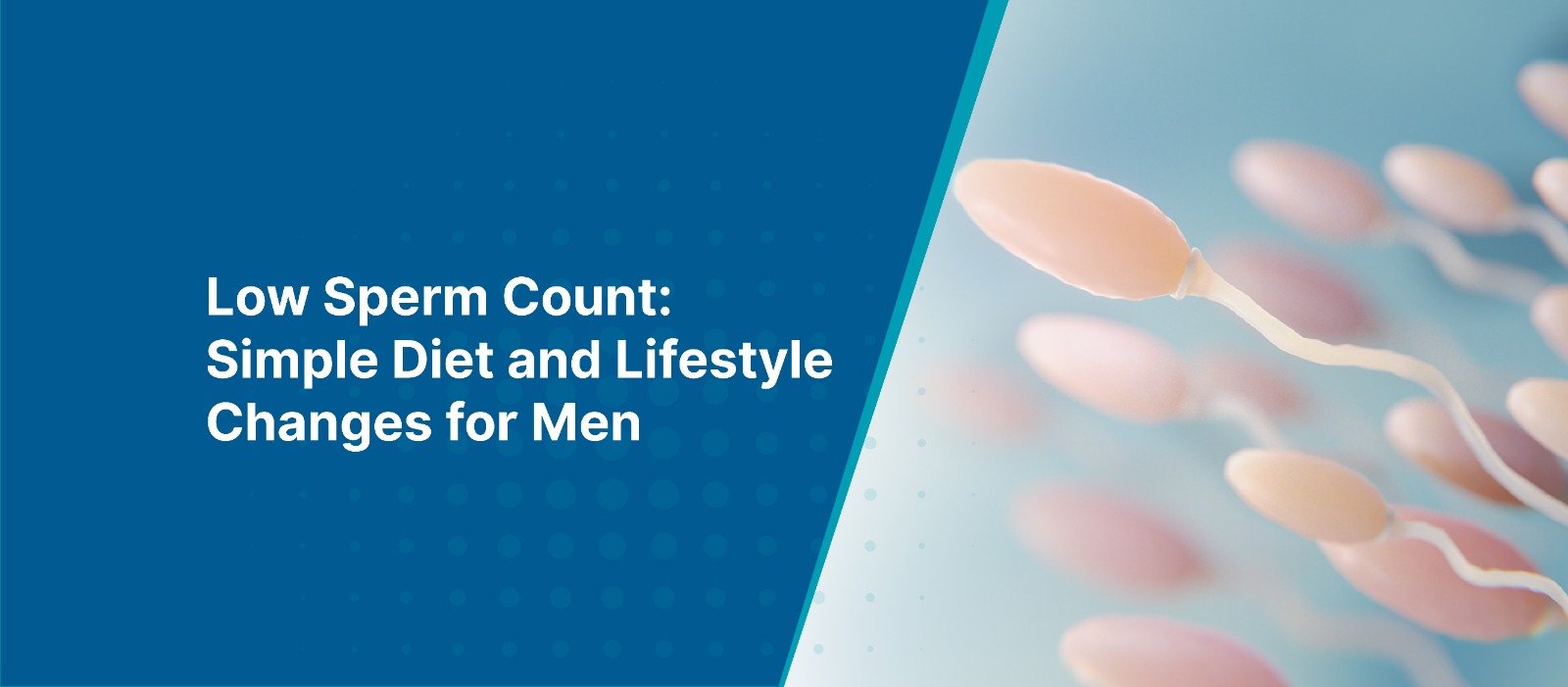 Low Sperm Count: Simple Diet and Lifestyle Changes for Men