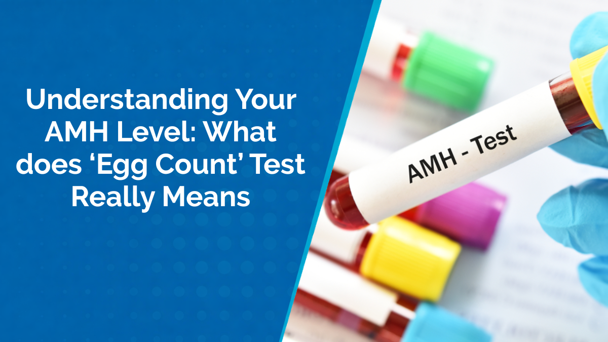 Understanding Your AMH Level: What does ‘Egg Count’ Test Really Means