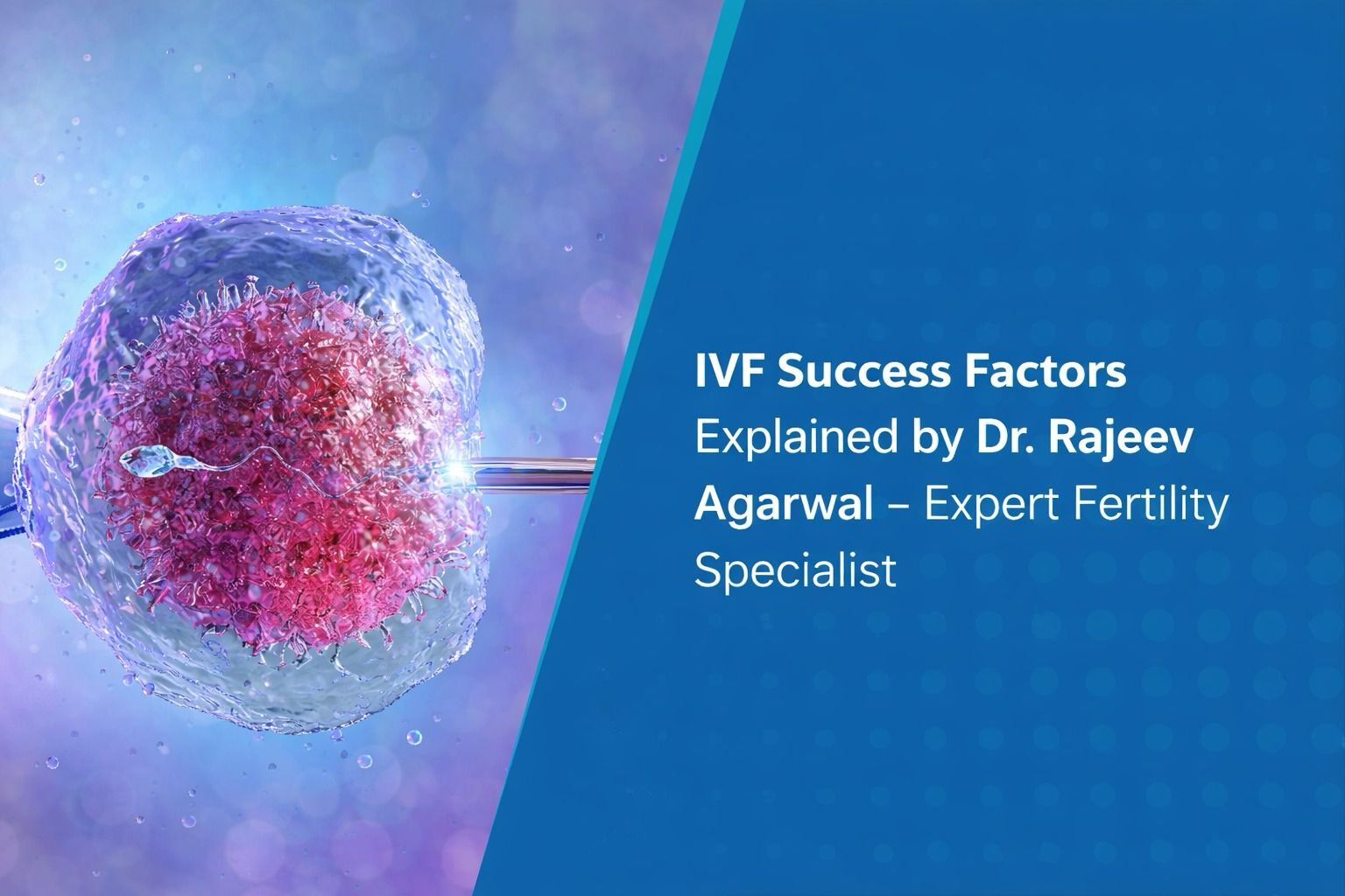 Starting Your IVF Journey