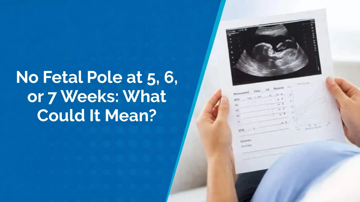 Fetal Pole in Pregnancy